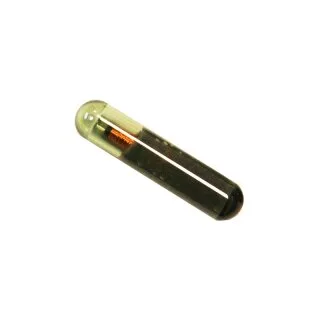 Transponder Megamos (GKM)