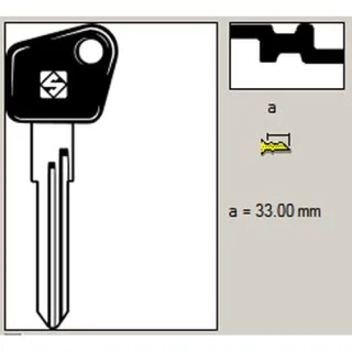 Autosleutel zonder startonderbreker (RPS7WA)